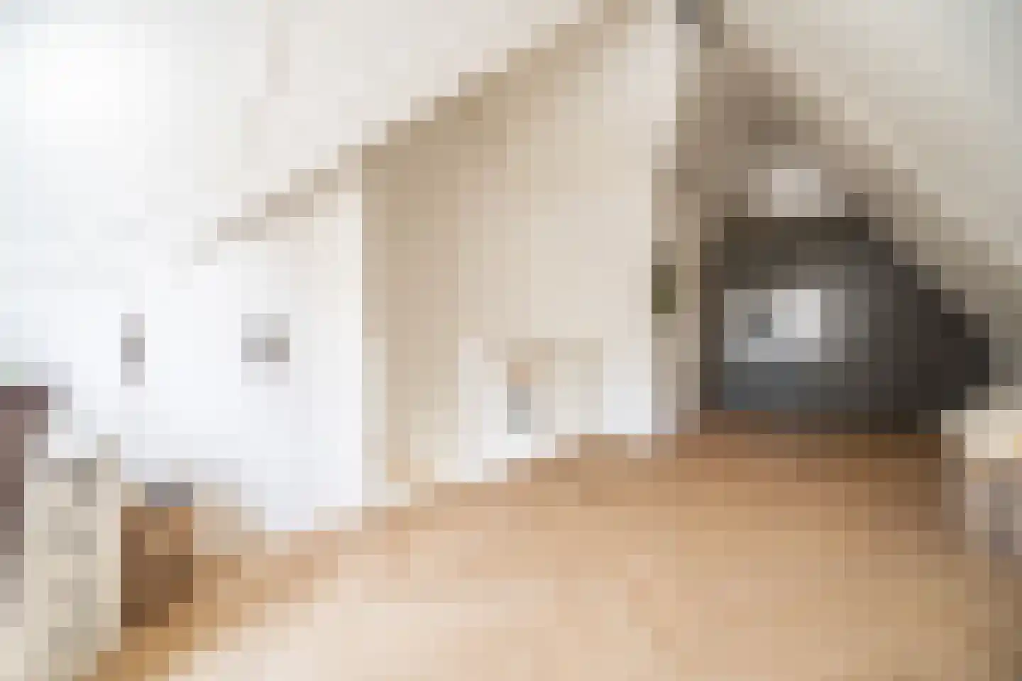 Veldzichtstraat 17 Zoeterwoude thumbnail 53