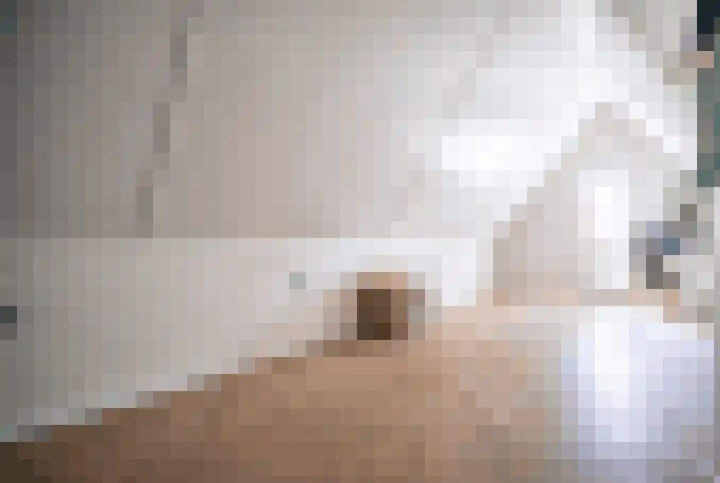 Veldzichtstraat 17 Zoeterwoude thumbnail 55