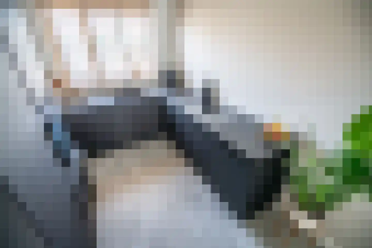 Veldzichtstraat 17 Zoeterwoude thumbnail 6
