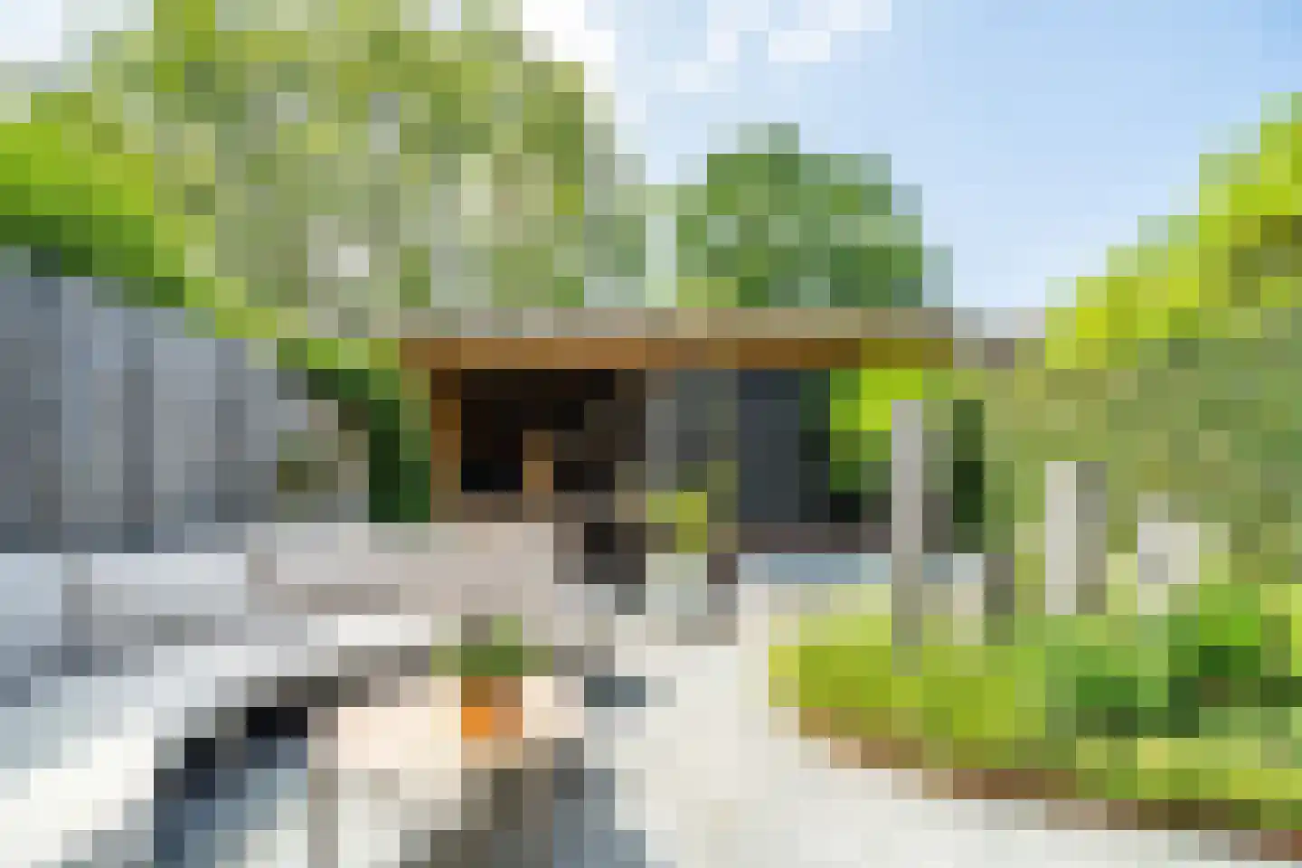 Veldzichtstraat 17 Zoeterwoude thumbnail 9