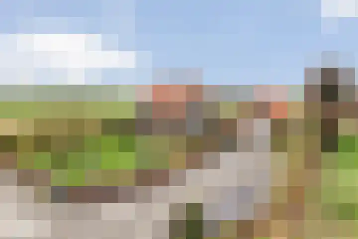 Veldzichtweg 2 Lewedorp