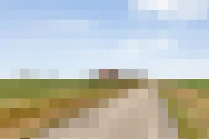 Veldzichtweg 2 Lewedorp thumbnail 10