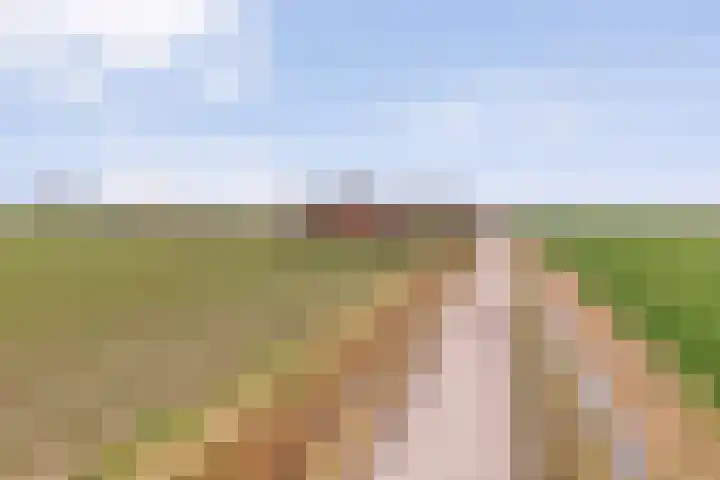 Veldzichtweg 2 Lewedorp thumbnail 11