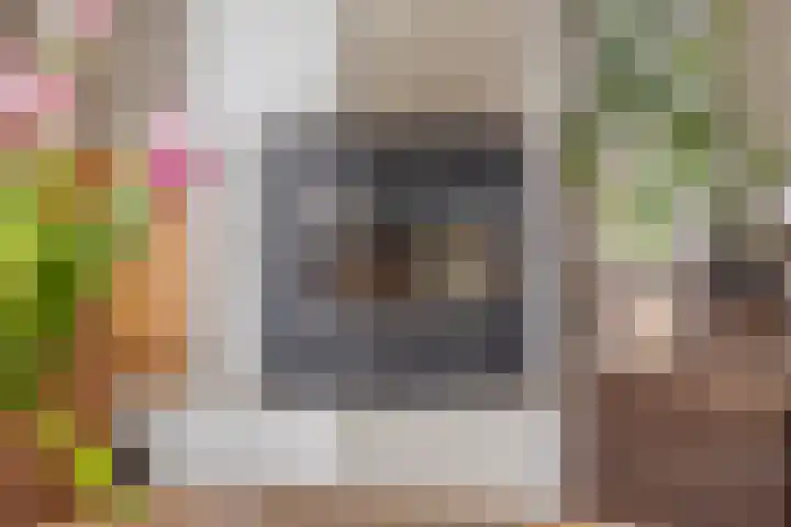 Veldzichtweg 2 Lewedorp thumbnail 27