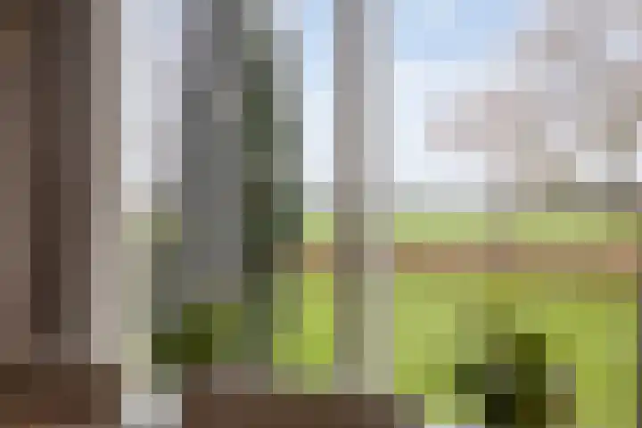 Veldzichtweg 2 Lewedorp thumbnail 31