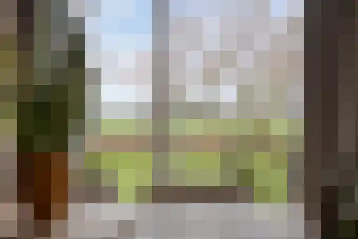 Veldzichtweg 2 Lewedorp thumbnail 32