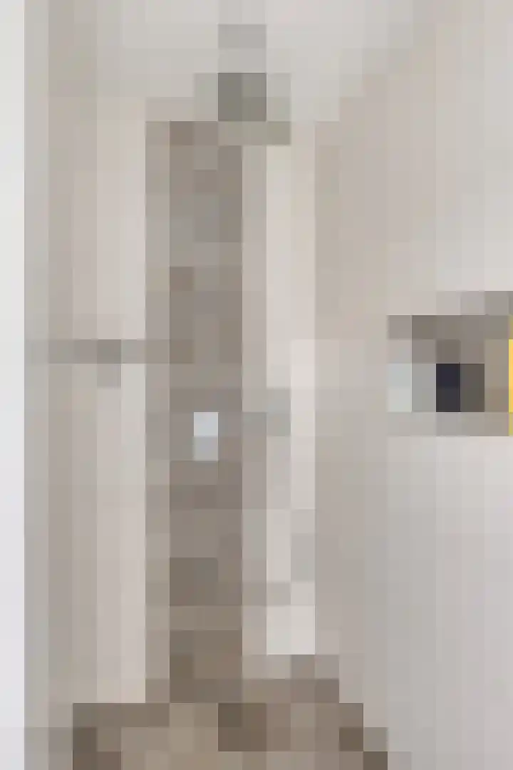 Veldzichtweg 2 Lewedorp thumbnail 40