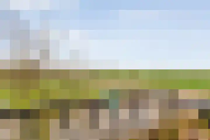 Veldzichtweg 2 Lewedorp thumbnail 45