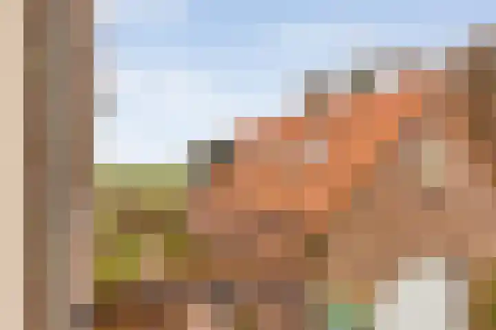 Veldzichtweg 2 Lewedorp thumbnail 46