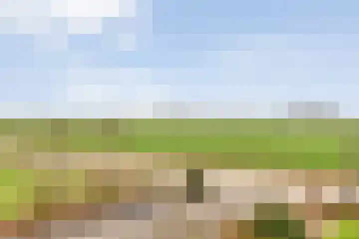 Veldzichtweg 2 Lewedorp thumbnail 47