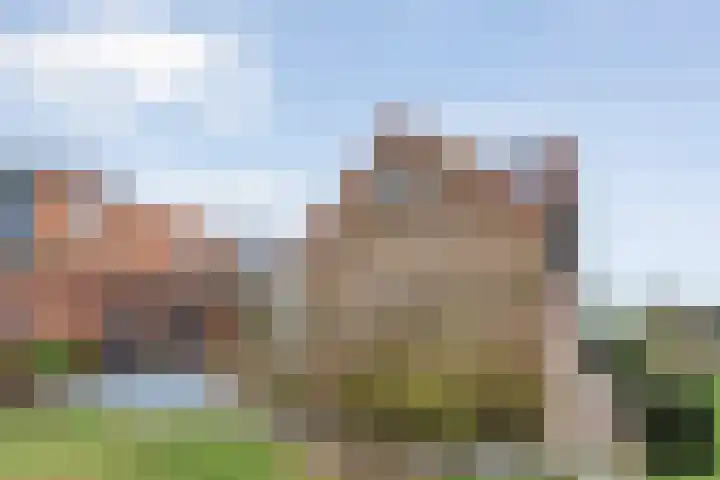 Veldzichtweg 2 Lewedorp thumbnail 51