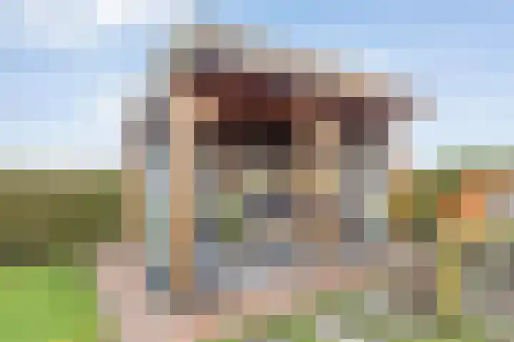Veldzichtweg 2 Lewedorp thumbnail 55