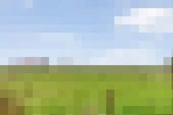 Veldzichtweg 2 Lewedorp thumbnail 56