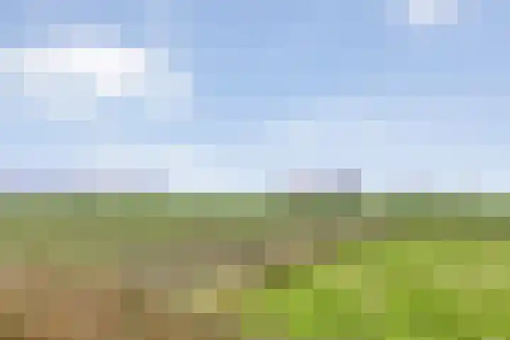 Veldzichtweg 2 Lewedorp thumbnail 57