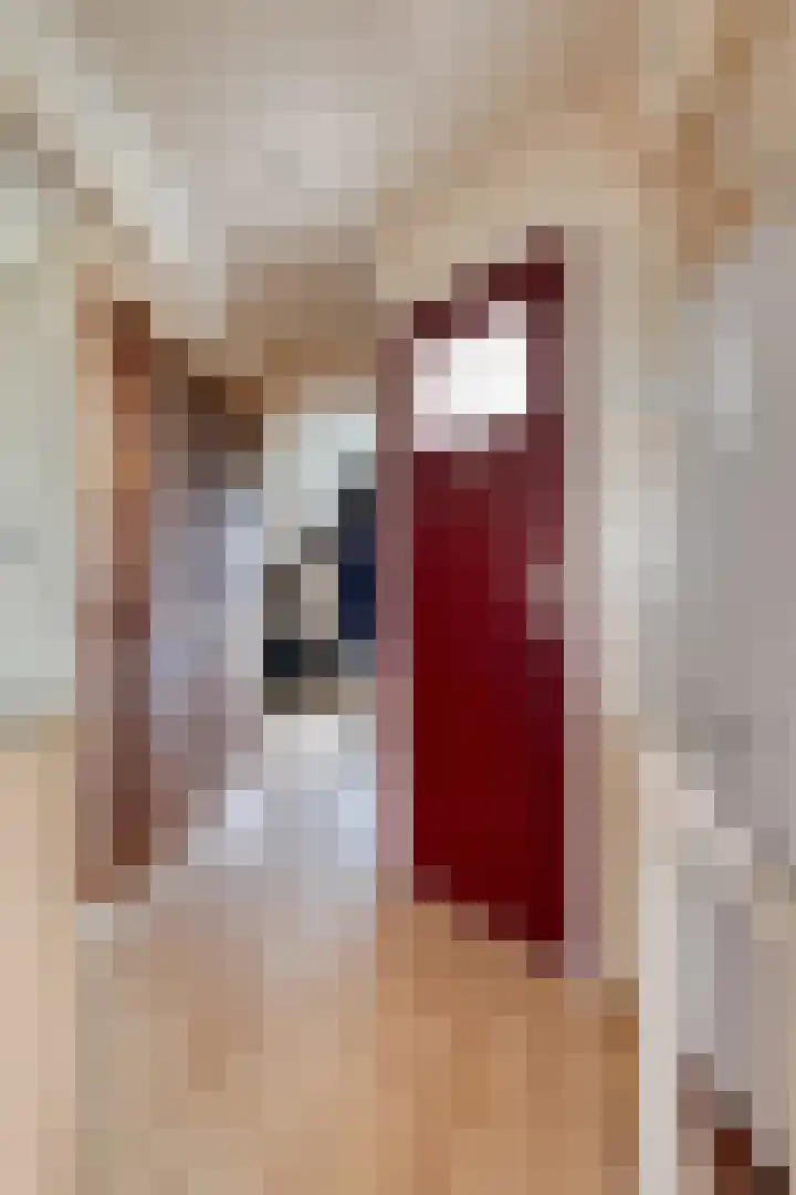 Veldzichtweg 2 Lewedorp thumbnail 60