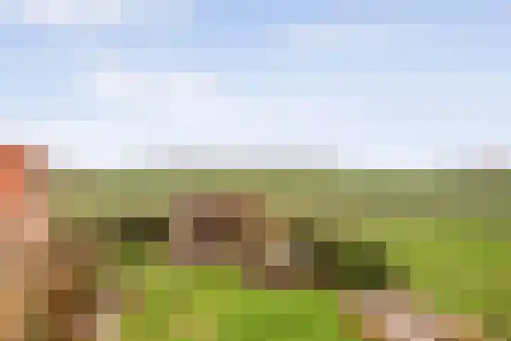Veldzichtweg 2 Lewedorp thumbnail 65
