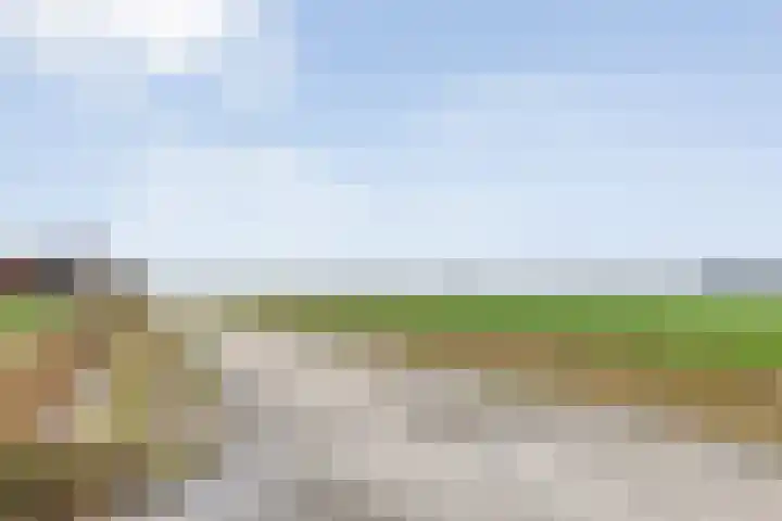 Veldzichtweg 2 Lewedorp thumbnail 9