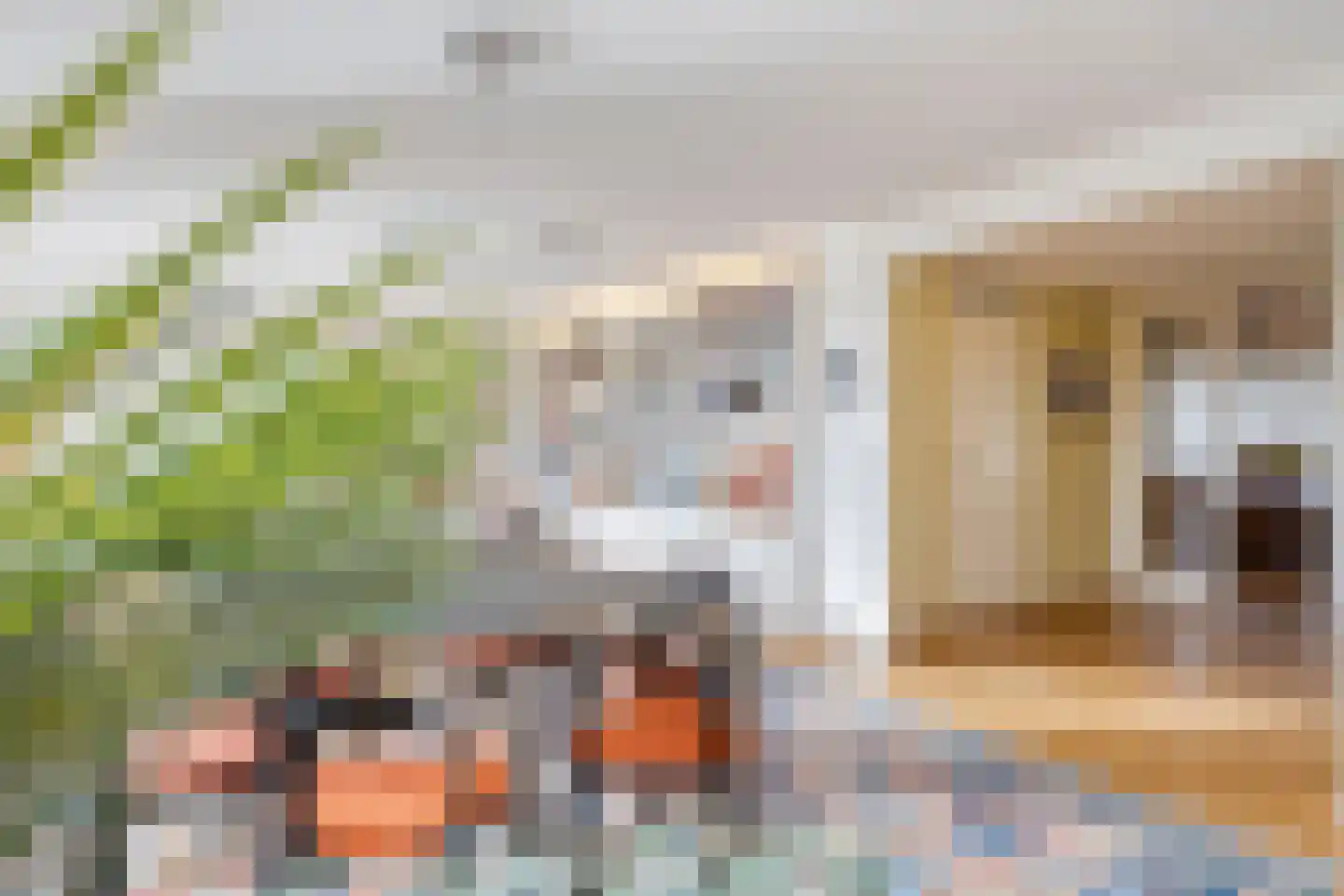 Veldzigt 101 Oostkapelle thumbnail 13