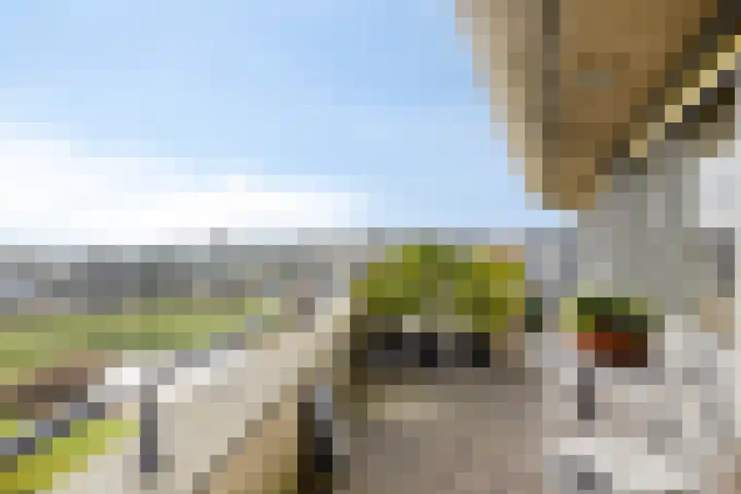 Veldzigt 101 Oostkapelle thumbnail 17