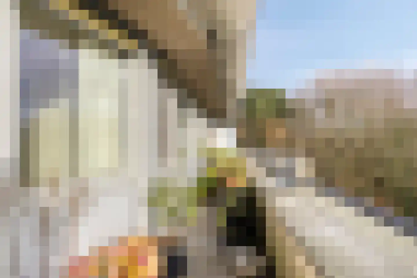 Veldzigt 101 Oostkapelle thumbnail 18