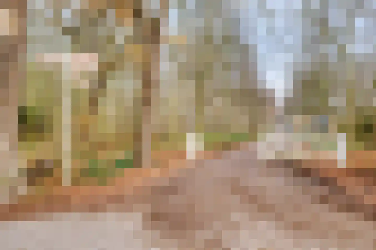 Veldzigt 101 Oostkapelle thumbnail 37