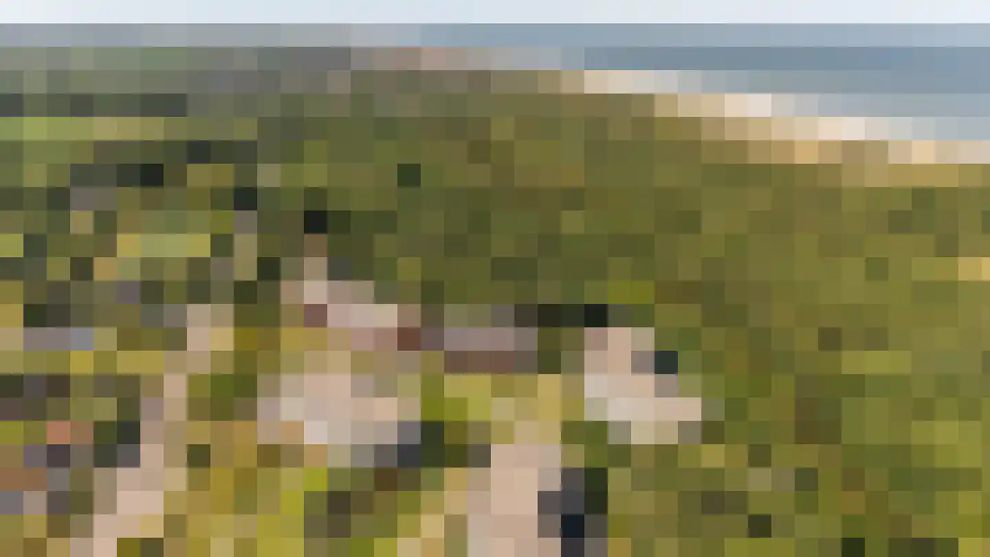 Veldzigt 33 Oostkapelle thumbnail 41
