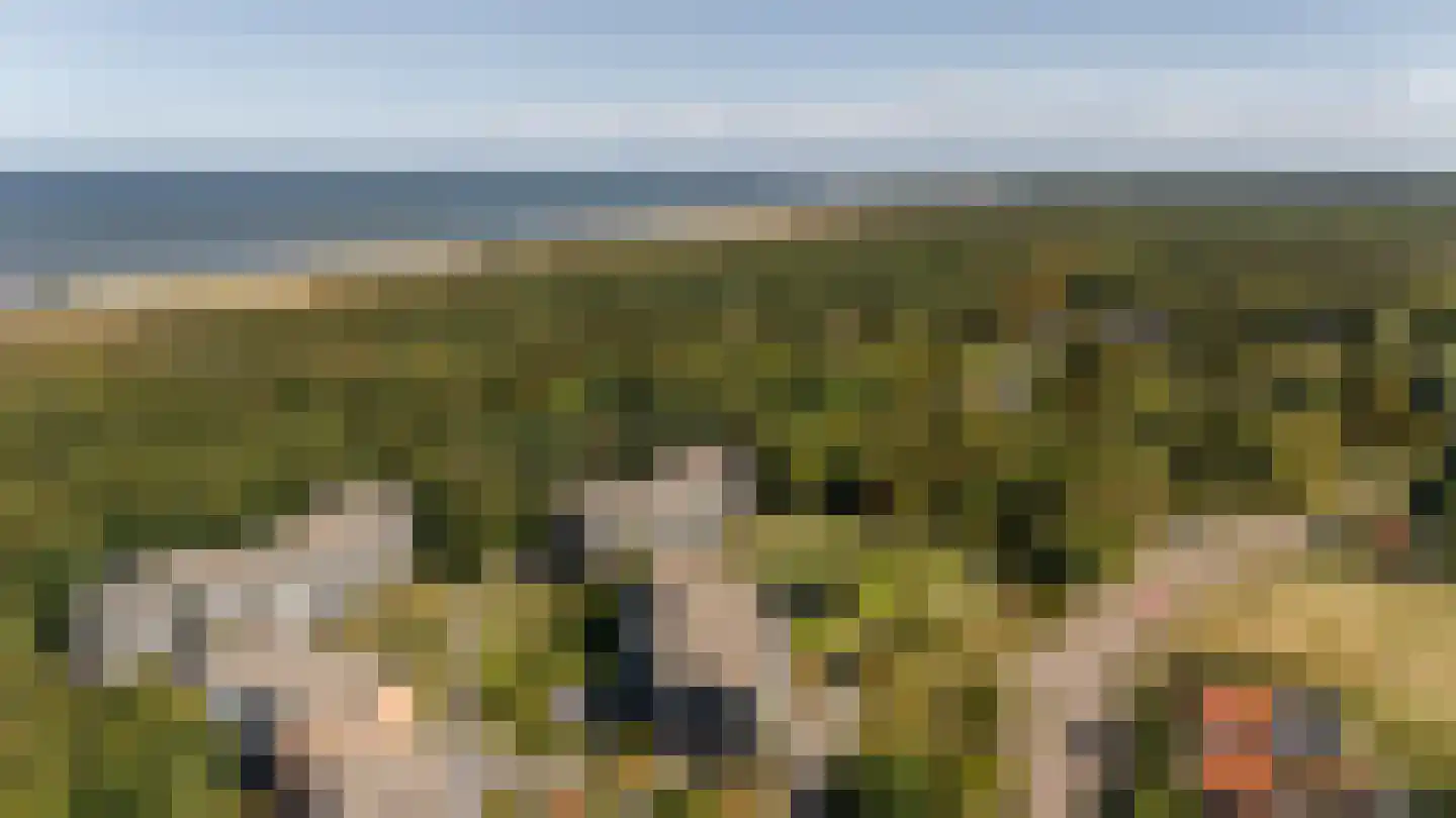 Veldzigt 33 Oostkapelle thumbnail 42