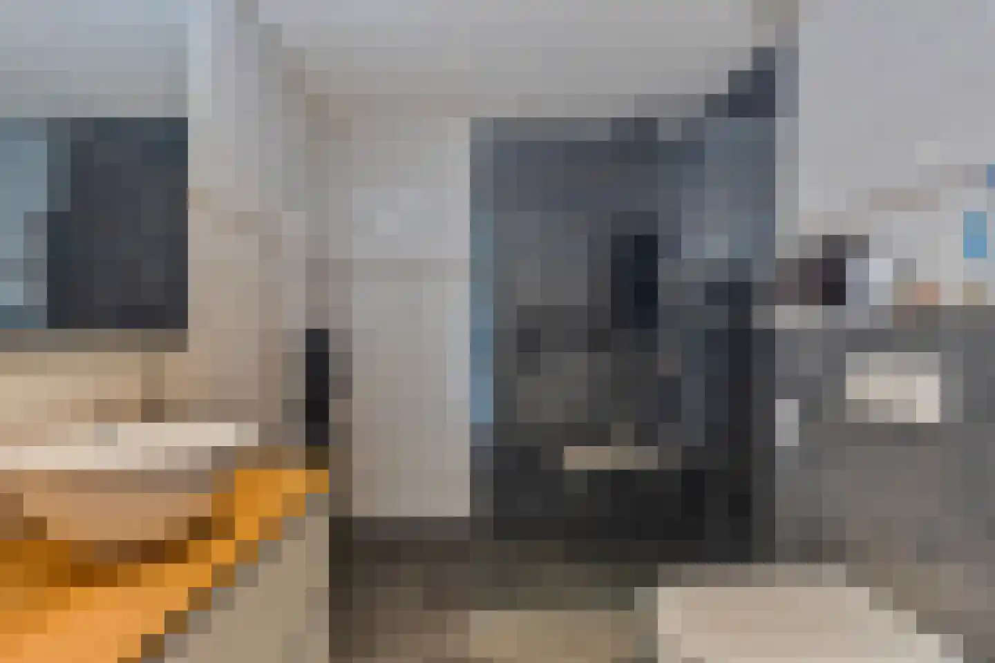 Veldzigt 49 Oostkapelle thumbnail 18