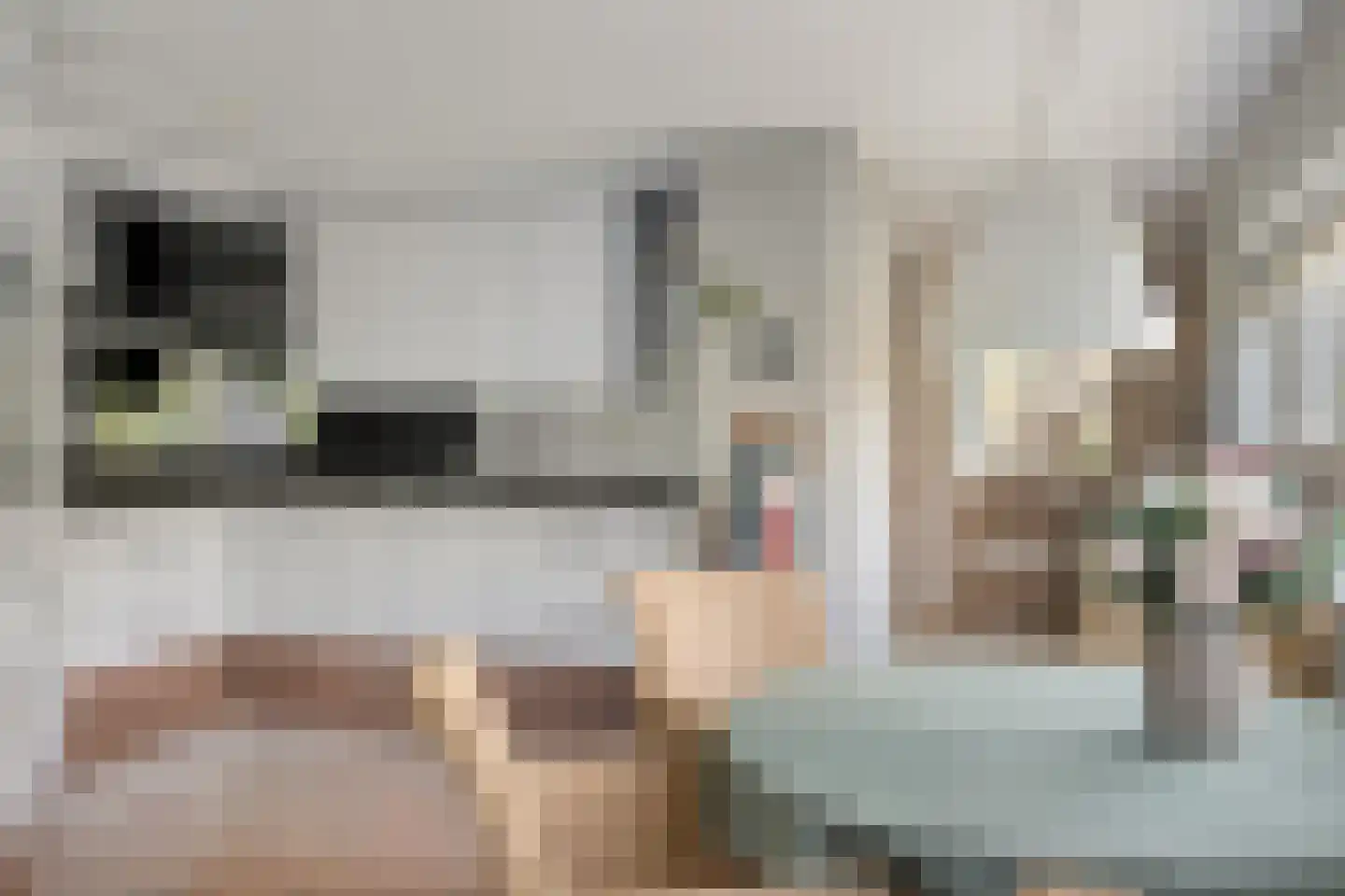 Veldzigt 60 Oostkapelle thumbnail 18