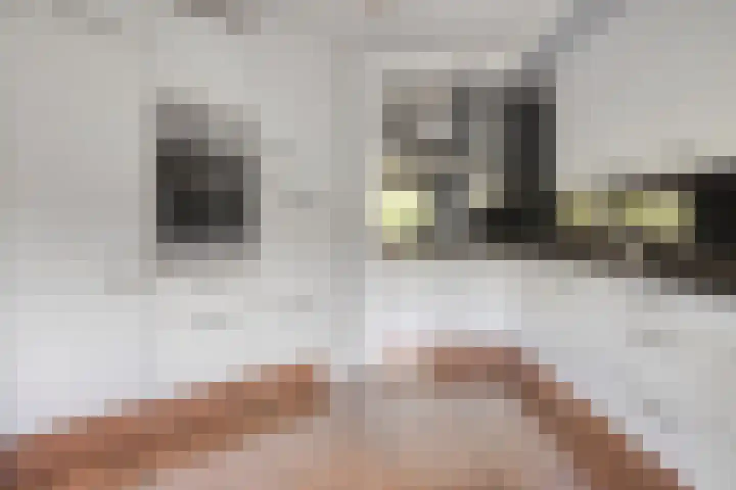 Veldzigt 60 Oostkapelle thumbnail 19