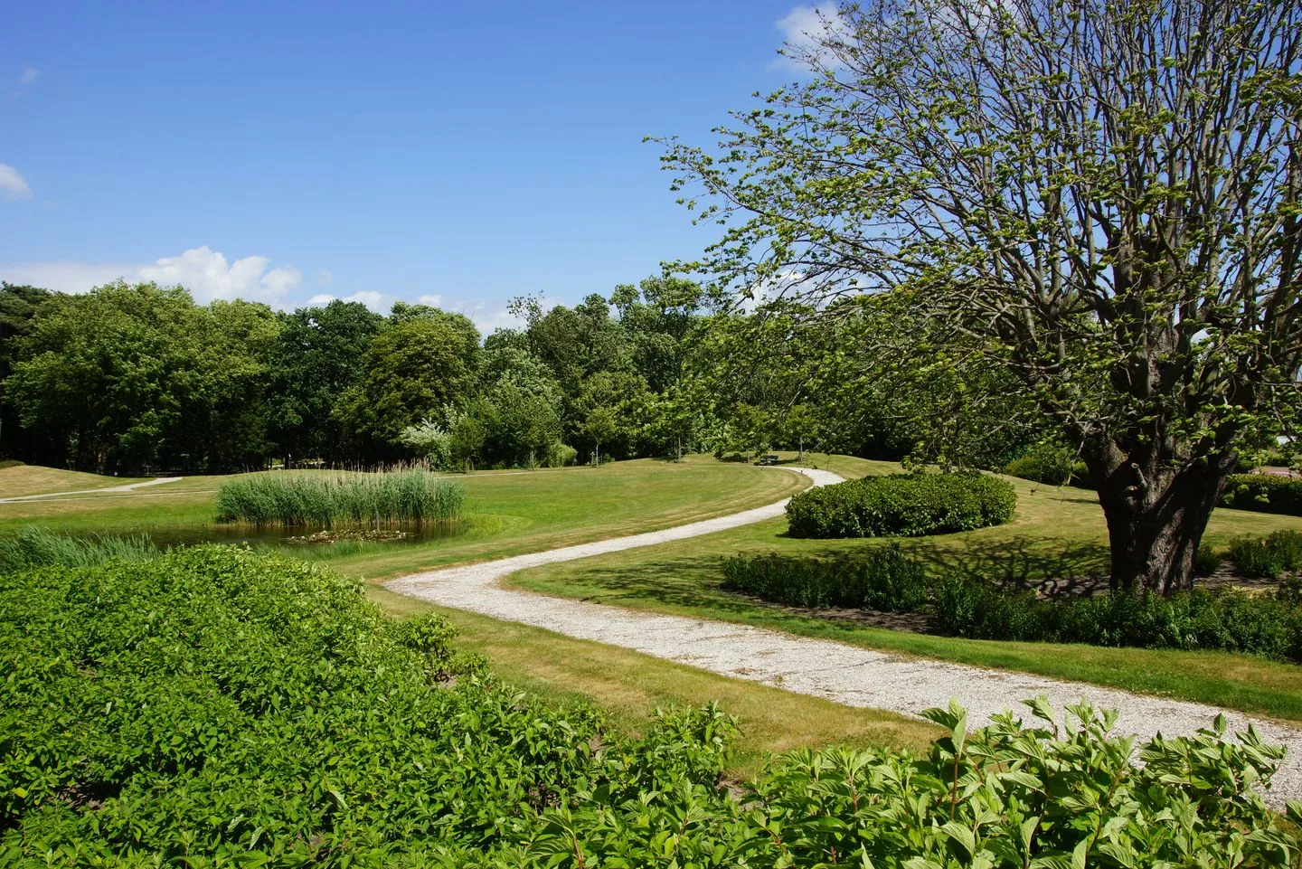 Veldzigt 60 Oostkapelle thumbnail 39