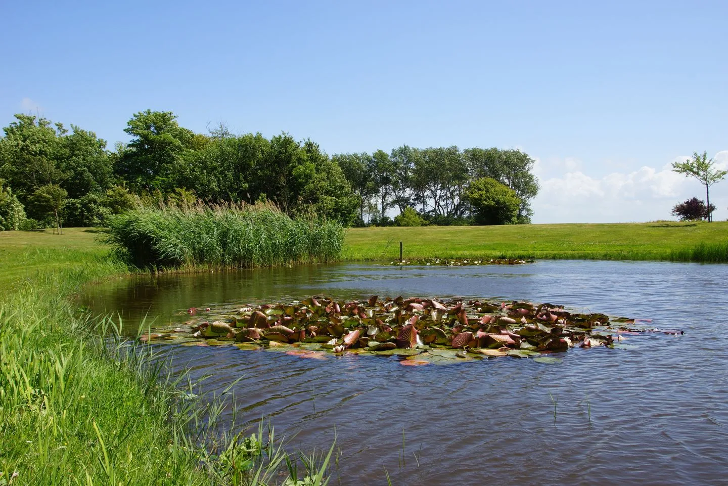 Veldzigt 60 Oostkapelle thumbnail 41