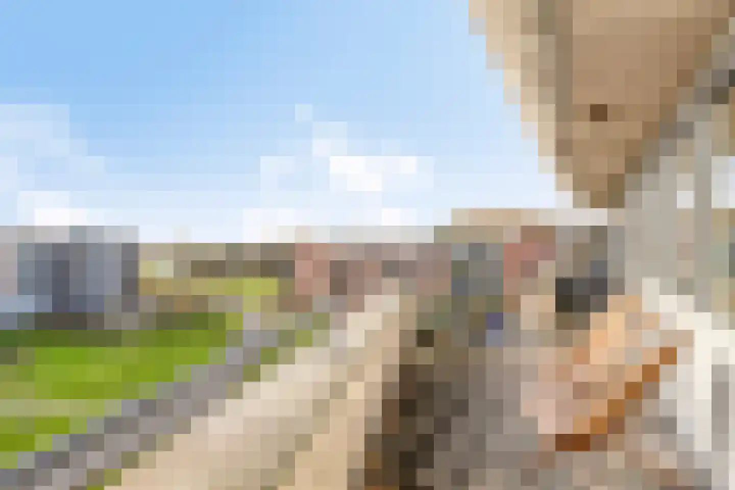 Veldzigt 63 Oostkapelle thumbnail 4