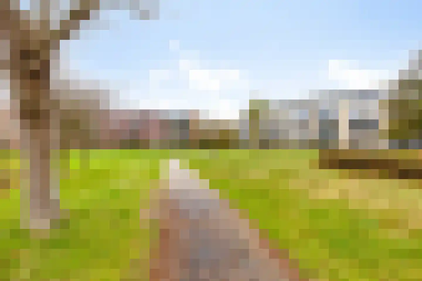 Veldzigt 63 Oostkapelle thumbnail 53