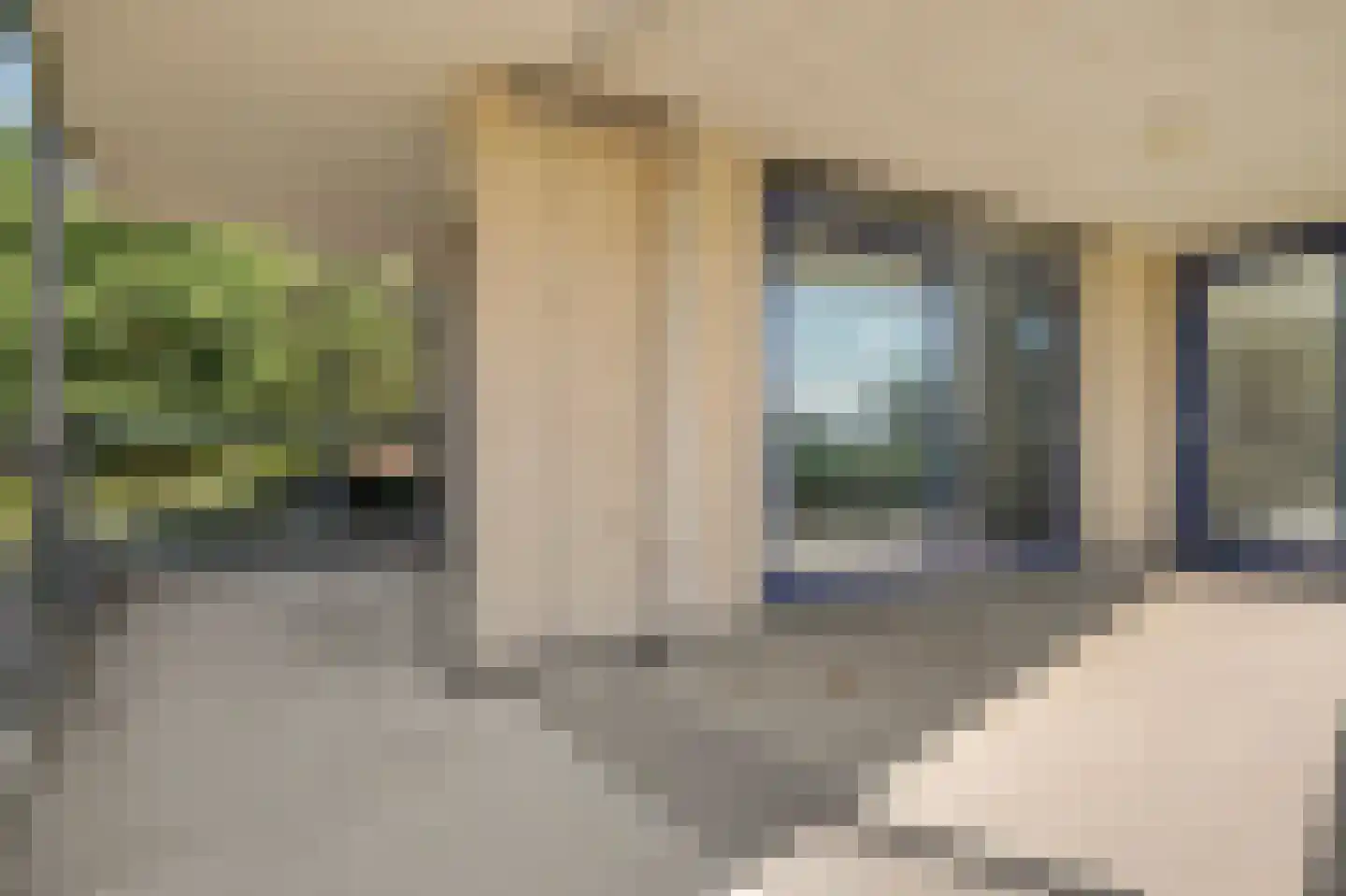 Veldzigt 81 Oostkapelle thumbnail 4