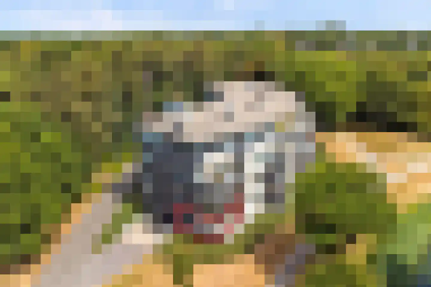 Veldzigt 81 Oostkapelle thumbnail 40