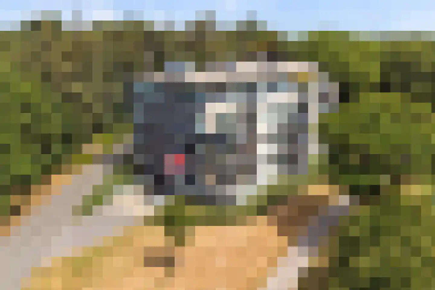 Veldzigt 81 Oostkapelle thumbnail 41