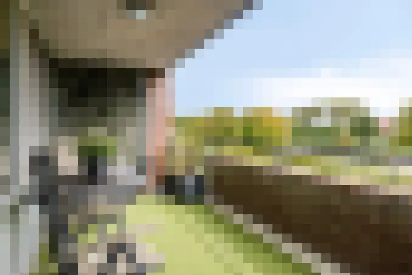 Veldzigt 9 Oostkapelle thumbnail 13