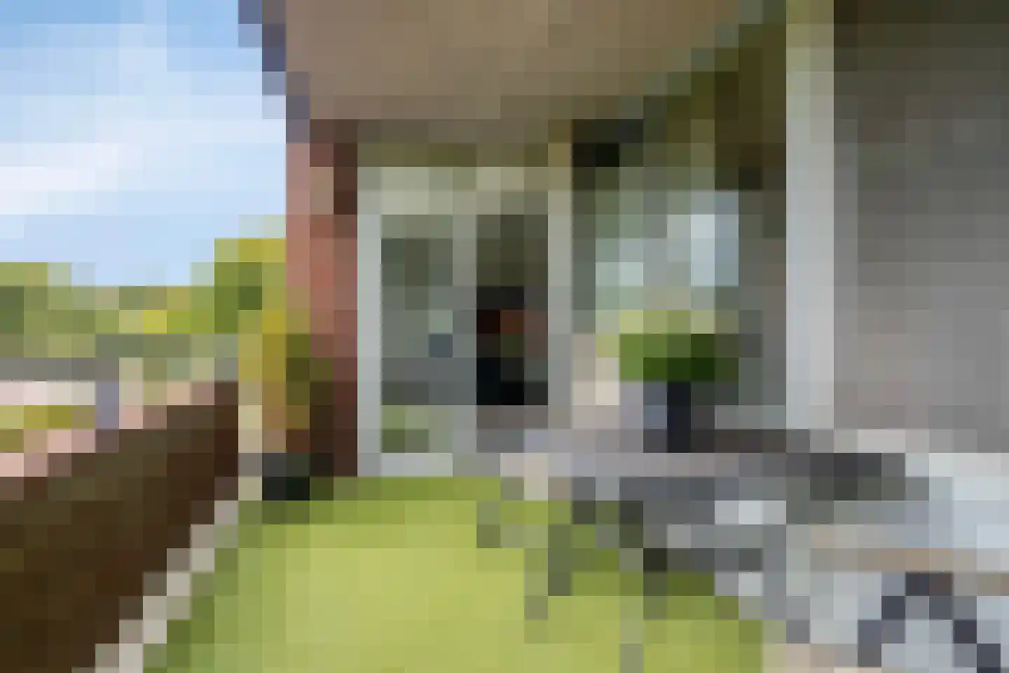 Veldzigt 9 Oostkapelle thumbnail 14