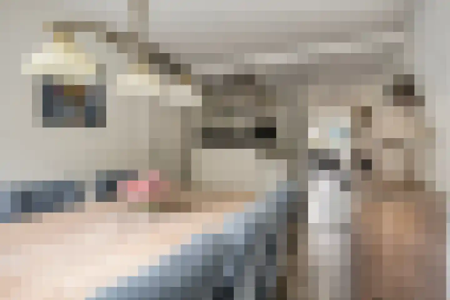 Veldzigt 9 Oostkapelle thumbnail 22