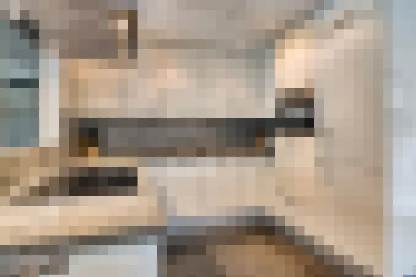 Veldzigt 9 Oostkapelle thumbnail 4