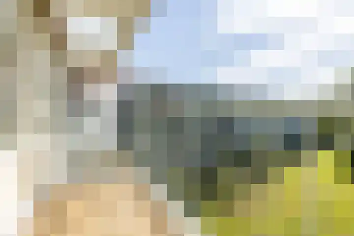 Veldzigtlaan 102 Haarlem thumbnail 15