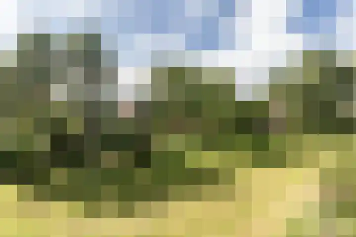 Veldzigtlaan 102 Haarlem thumbnail 17