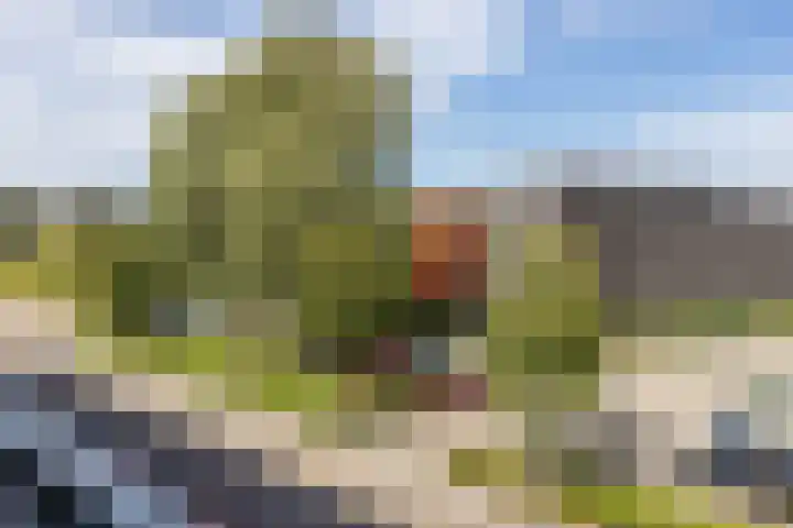 Veldzigtlaan 102 Haarlem thumbnail 24