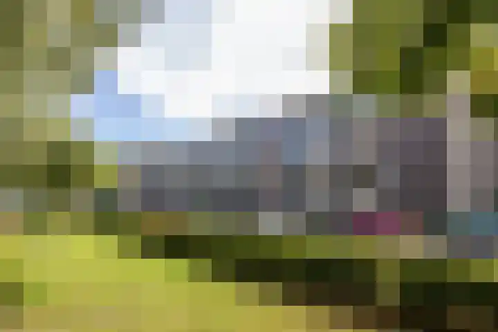 Veldzigtlaan 102 Haarlem thumbnail 25