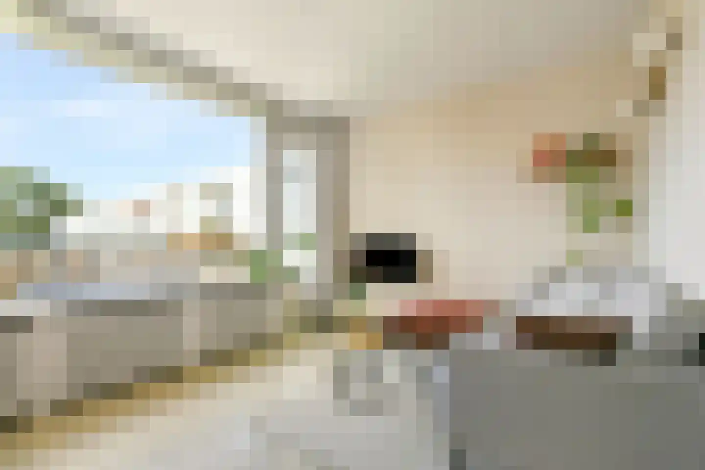 Veldzigtlaan 110 Haarlem thumbnail 13
