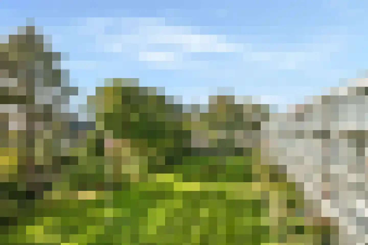 Veldzigtlaan 110 Haarlem thumbnail 19