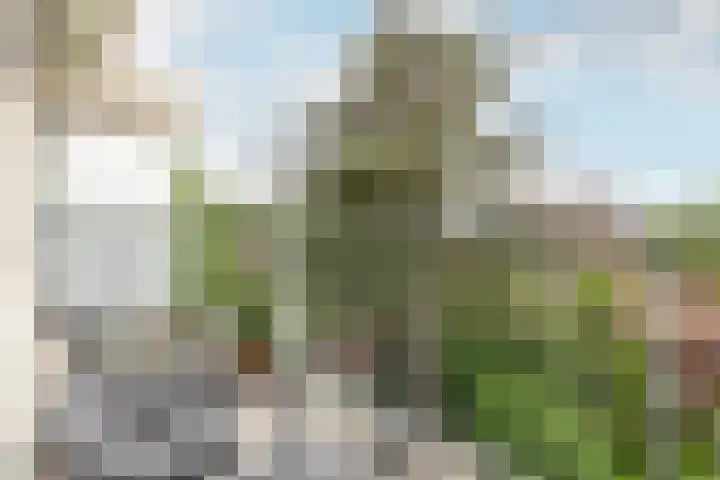 Veldzigtlaan 124 Haarlem thumbnail 11