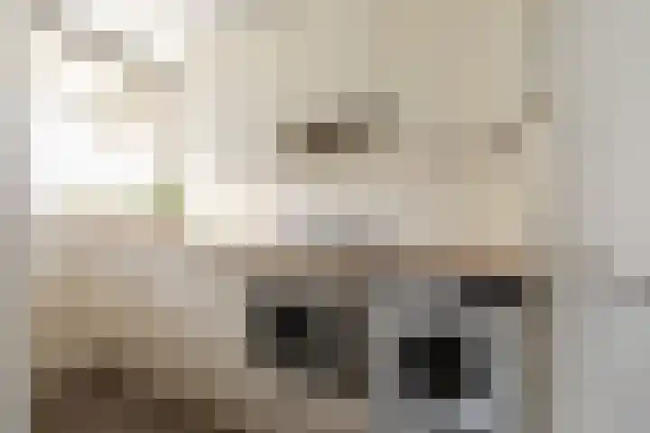 Veldzigtlaan 124 Haarlem thumbnail 12