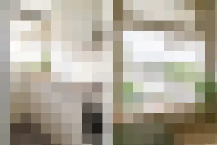 Veldzigtlaan 124 Haarlem thumbnail 15